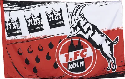Produktbild von 1. FC Köln Stockfahne Fahne „Wappen” 80x120 cm