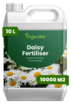Zdjęcie produktu dla Stokrotka Nawóz Płynny 10 L – 2-1-8 NPK – Do Kvitnúce Rośliny – Do Zdrowe Listy i Bujne Kwiaty – Podporuje Korzenie i Vitalitu – Organifer