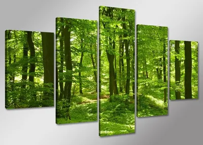 Obrázok produktu pre Obraz na plátne Zelený les 5-dielny 100x50 cm
