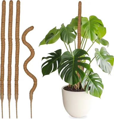 Obrázok produktu pre Relaxdays Kokosové tyčinky, sada 5 ks, ohybné tyčinky pre rastliny, vhodné pre monsteru, parádnikovku a ďalšie rastliny, dĺžka 90 cm, kokosové vlákno, prírodná farba