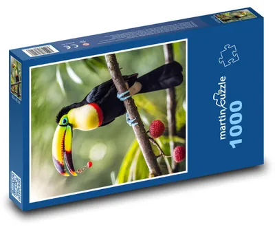 Obrázok produktu pre Puzzle 1000 Tukan v tropickom lese - martinpuzzle