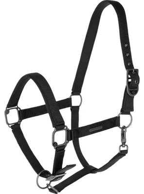 Produktbild von Covalliero Halfter black FS 2025, Größe:Cob
