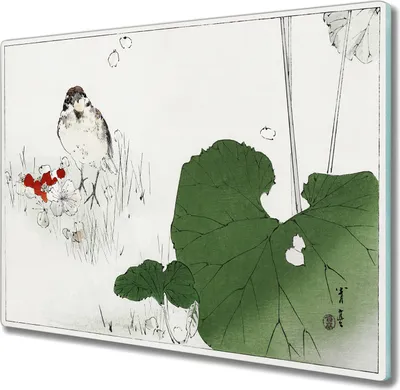 Produktbild von Coloray Kochplattenabdeckung Herdabdeckplatte 60x52 cm Hackbrett Schneidebrett Küchenbrett - Blätter Blumen Haustier Vogel
