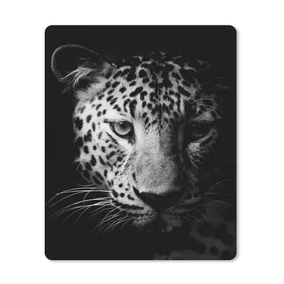 Produktbild von MuchoWow® Mauspad Mousepad Panther - Wildtiere - Schwarz und weiß - Tiere 30x40 cm - Mousepads - Maus Mat - Pad - Mausunterlage - Mausmatten