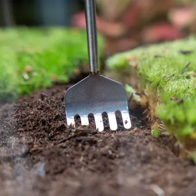 Produktbild von Flaschengarten-Werkzeug – Harke – 16–49 cm – Teleskop – Edelstahl - Terrarium Werkzeug