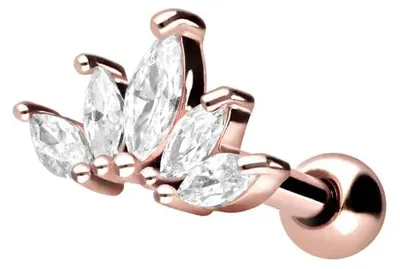 Produktbild von Ohrpiercing Chirurgenstahl Ohrpiercing LOTUSBLÜTE + KRISTALLE