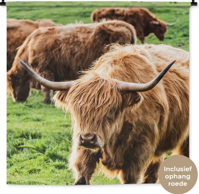 Produktbild von MuchoWow® Wandteppich Wandbehang Schottisches Hochlandrind - Kühe - Tiere 120x120 cm Tapisserie Dekoration Wandtuch - Modern - Baumwollgewebe
