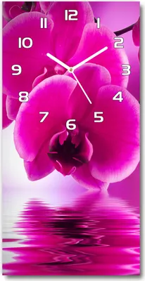 Produktbild von Wanduhr aus Glas – 30x60 cm - Glasbild - Glasuhr - Gehärtetes Glas -Rosa Orchidee