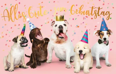Produktbild von Geburtstag - Glückwunschkarte im Format 11,5 x 17 cm mit Umschlag