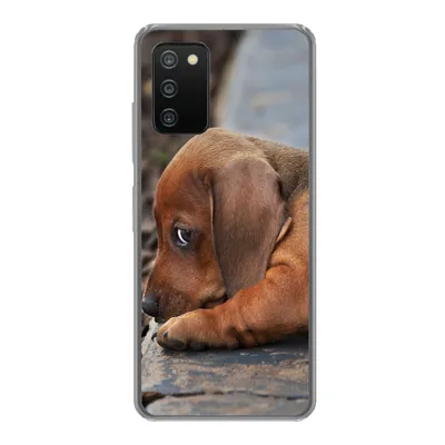 Produktbild von MuchoWow® Handyhülle Schutzhülle Hülle für Samsung Galaxy A03s Dackelwelpe liegt am Rande des Bürgersteigs Silikon Softcase Handy Hülle - Schutz