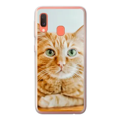 Produktbild von MuchoWow® Handyhülle Schutzhülle Hülle für Samsung Galaxy A20e Katze - Holz - Schrank Silikon Softcase Handy Hülle - Abdeckung