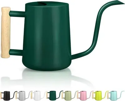 Immagine prodotto di Moderno annaffiatoio in acciaio inossidabile da 1 litro, verde