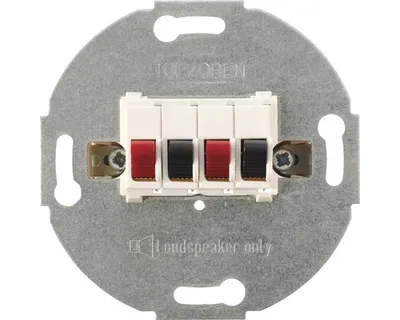 Immagine prodotto di Merten 467019 Scatola di connessione per altoparlanti Sistema M