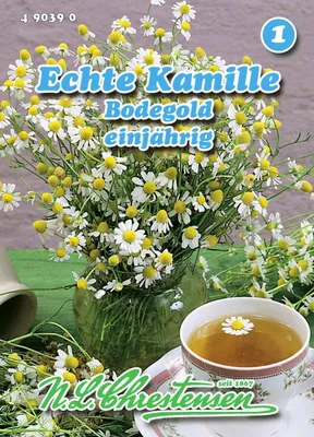 Produktbild von Kamille Bodegold | Kamillesamen von N.L. Chrestensen