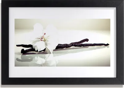 Produktbild von Bild 30x20 MDF-Rahmen Wandkunst Natur Blume Pflanze