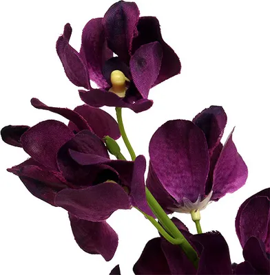Produktbild von Künstliche Mokara Orchidee Lila 50cm – Deko Blumenstrauß 6 Stück, Seidenblumen für Hochzeit und Zuhause