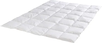 Produktbild von Ganzjahresbett - friesische Federn - 155 x 220 cm