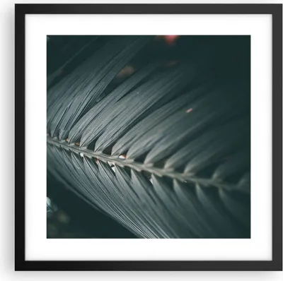 Produktbild von Gerahmtes Poster - Schwarzer Rahmen - Blatt Palme exotisch - 40x40 cm - Wand Bild - Wanddeko - Wandbilder - Kunstposter - Wandposter - Bilderrahmen - Bilder - Kunstdruck - P2BAC40x40-4907