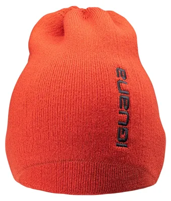 Produktbild von Men's Winter cap ASPAR, IGUANA