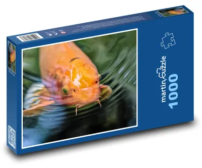 Obrázok produktu pre Puzzle 1000 Koi - japonská ryba - martinpuzzle