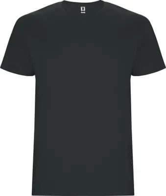 Produktbild von Roly - "Stafford" T-Shirt für Herren PF4347 (M) (Dunkelgrau)