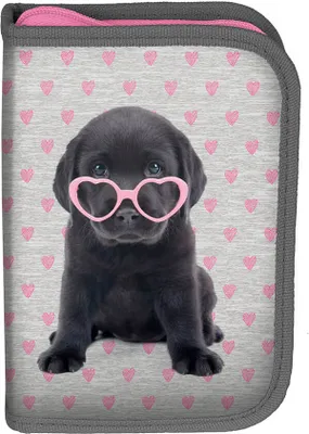 Image de PASO Trousse à crayons Trousse à plumes avec chien JEUNESSE ÉCOLE SACHES SCOLAIRES WELPE AVEC LES LUNETTES DE SOLEIL