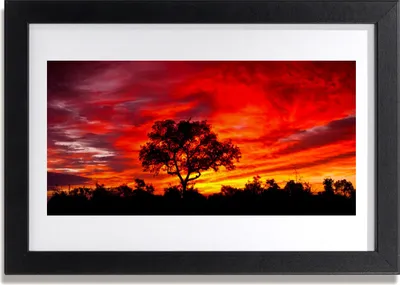 Produktbild von Bild 30x20 MDF-Rahmen Wandkunst Wald Landschaft Natur