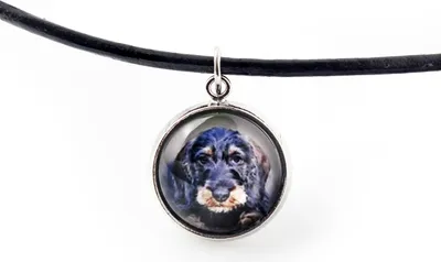 Image de Teckel à poil dur - collier avec pendentif et votre photo, bijou fait main de la marque Art-Dog