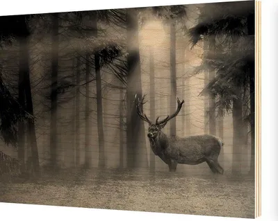 Produktbild von Holzposter Bild auf Sperrholz 28x39cm SP660