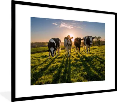 Produktbild von MuchoWow® Gerahmtes Poster Kuh - Gras - Sonne 80x60 cm - Poster mit Schwarzem Bilderrahmen Wandposter Rahmen Foto Bilder - Schlafzimmer-Dekorationen - Fotoposter