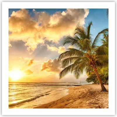 Produktbild von Poster - Poster ohne Rahmen - Strand Meer Palme - 60x60 cm - Wand Bild - Wanddeko - Wandbilder - Kunstposter - Wandposter - Bilder - Kunstdruck - Wanddekoration - Wandbild - P2XAC60x60-3606