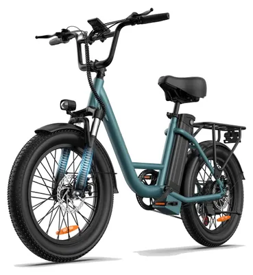 Immagine prodotto di Bicicletta elettrica per adulti - E20 City-Pendler - Motore brushless da 250 W - Batteria da 48 V 13 Ah - Ruote da 50,8 cm - Autonomia 31–60 km - 25 km/h - A due posti - Verde