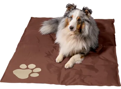 Produktbild von dobar Große Kühlmatte für Hunde, selbstkühlende Haustiermatte mit Pfoten Muster, 99,5 x 70 cm, Braun