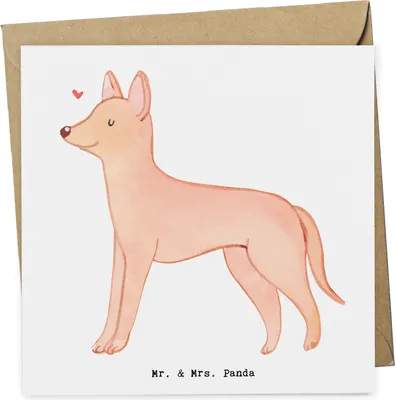 Produktbild von Mr. & Mrs. Panda Grußkarte Pharaonenhund Moment - Weiß - Geschenk, Pharaoh Hound, Glückwunschkarte, doppelkarte, Klappkarte, anlasskarte, Kelb Tal-Fenek, faltkarte