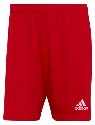 Produktbild von adidas Entrada 22 Shorts XL TEPORE