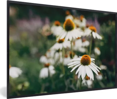Produktbild von MuchoWow® Gerahmtes Poster Blumen - Herbst - Botanisch 90x60 cm - Poster mit Schwarzem Bilderrahmen Wandposter Rahmen Foto Bilder - Fotorahmen - Foto-Plakat