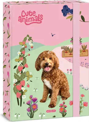 Obrázek produktu pro Ars Una Box na sešity A4 Doggie