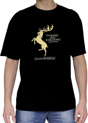 Produktbild von ABYstyle - Game of Thrones T-Shirt - Baratheon XL