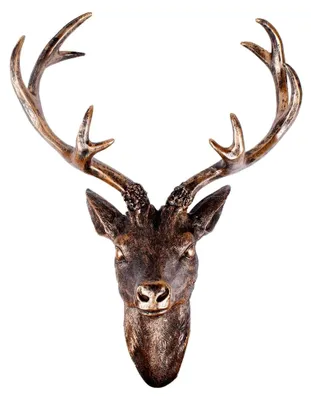Produktbild von Hirschgeweih Hirschkopf 10-Ender in Bronze-Optik, Wanddekoration für das Wohnzimmer, 51 x 60 cm