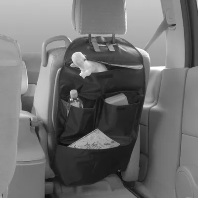 Immagine prodotto di Carpoint Stoelorganiser Cartidy Plus