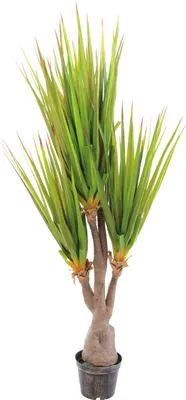 Produktbild von EUROPALMS Säbelzahn-Agave, Kunstpflanze, 185cm (82600030)