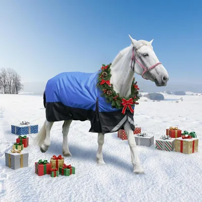 Productafbeelding van Paardendeken Winter - Regendeken Staldeken - Paard Warm Houden - 1200D Waterdicht Scheurvast - 125 cm - Blauw