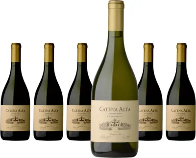 Produktbild von 6 x Catena Zapata Catena Alta Chardonnay