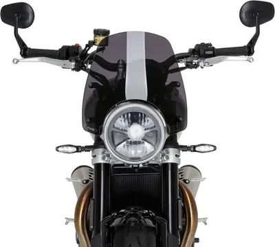Produktbild von PUIG 22618F New Generation Sport passend fuer TRIUMPH SPEED TWIN 1200