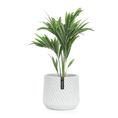 Produktbild von Fox & Fern Blumentopf, Übertopf Groß, UV- und Frostbeständige Blumentöpfe, Blumentopf für Innen und Außen, Übertöpfe für Zimmerpflanzen, Übertopf mit Stopfen, Polystone Pflanzentopf, Einzeltopf