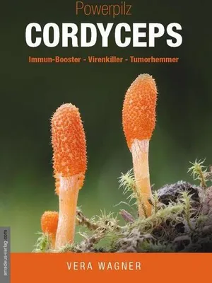 Produktbild von Powerpilz Cordyceps