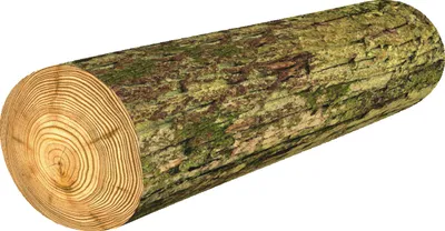 Zdjęcie produktu dla Bertoni termoelastyczna anatomiczna poduszka wałek, idealna dla zdrowia kręgosłupa, komfortu i wzornictwa Ø16x55 cm