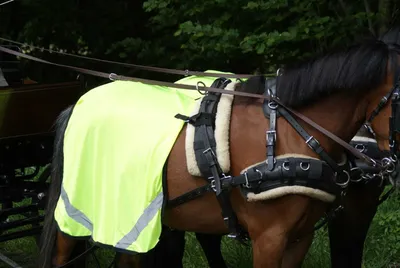 Produktbild von Esposita Reflex Fahrdecke, Fliegenfahrdecke, leicht und luftig Mini Shetty