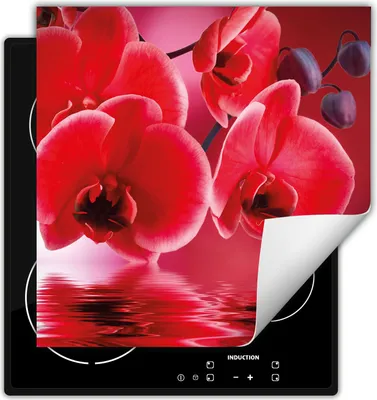 Image de DarHaus Plaque de recouvrement pour cuisinière 60x52 cm Tapis antidérapant Enroulable, rouge - Orchidée