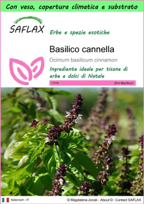 Immagine prodotto di SAFLAX Garden to go - Basilico cannella - 200 semi - Ocimum